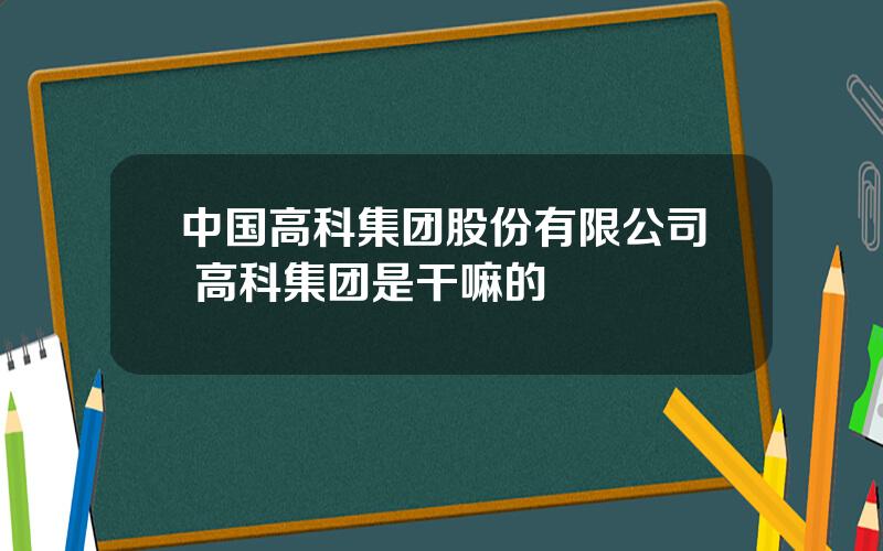 中国高科集团股份有限公司 高科集团是干嘛的